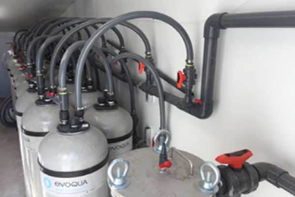 Ion exchange potable water treatment system